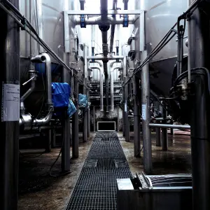 Cow milk Storage