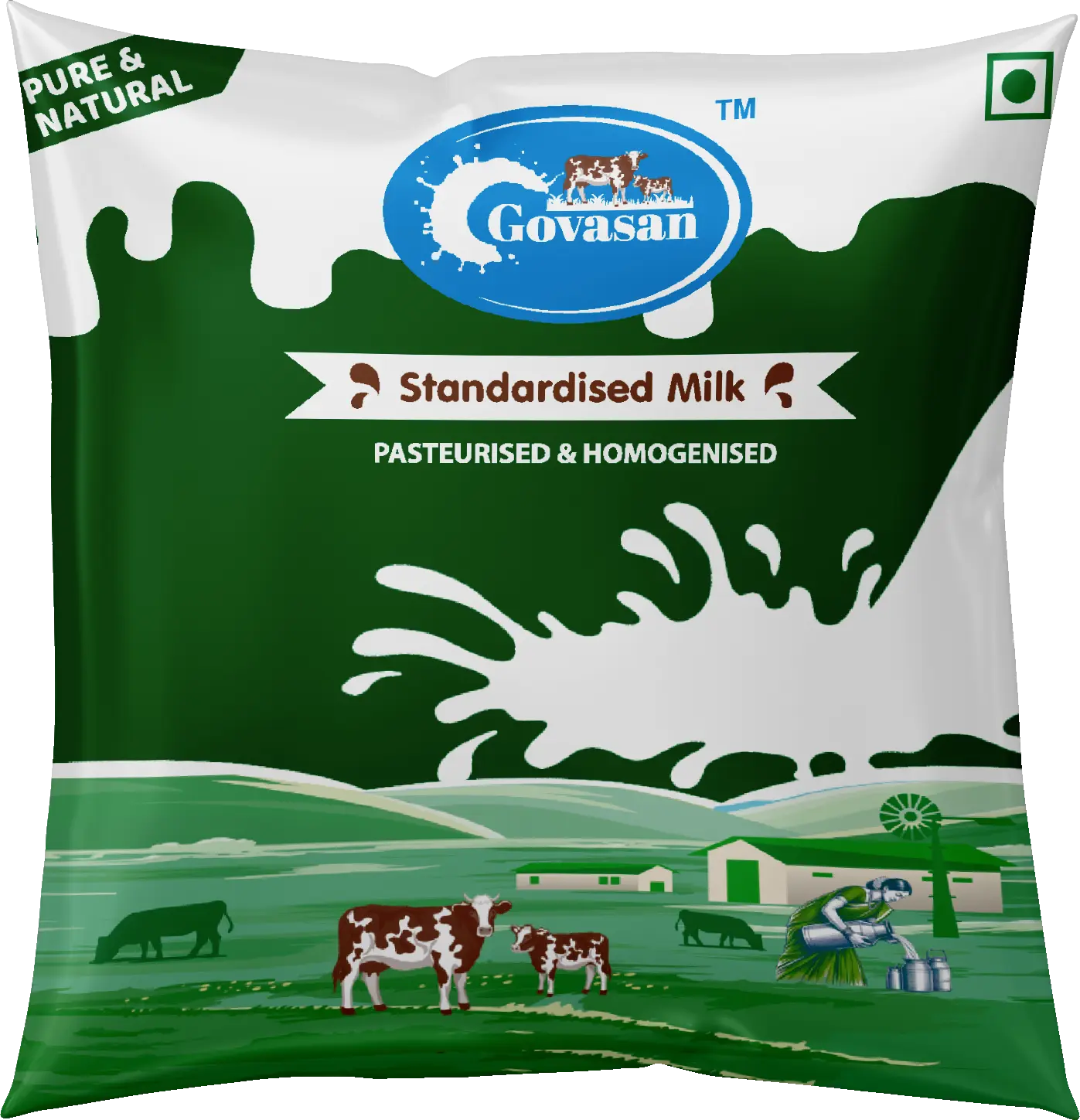 Pure Curd from Chennai Pure Curd from Chennai
